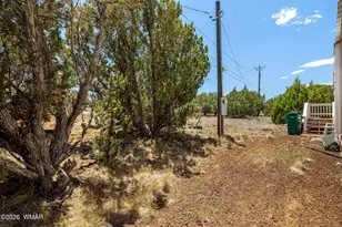 8697 Campbell Cir, Show Low, AZ 85901 - Photo 19