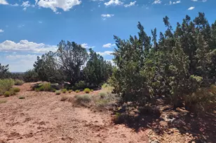 8564 Pueblo Ln, Snowflake, AZ 85937 - Photo 31