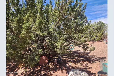 8564 Pueblo Lane, Snowflake, AZ 85937 - Photo 23