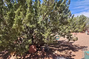 8564 Pueblo Ln, Snowflake, AZ 85937 - Photo 23