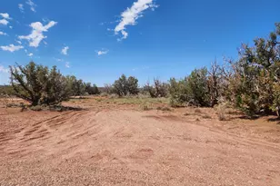 8564 Pueblo Ln, Snowflake, AZ 85937 - Photo 29