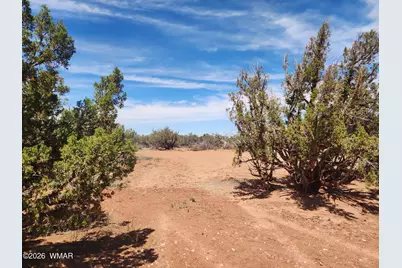 8564 Pueblo Lane, Snowflake, AZ 85937 - Photo 25