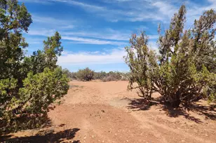8564 Pueblo Ln, Snowflake, AZ 85937 - Photo 25