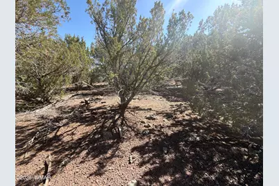 Lot Cr 3189, Vernon, AZ 85940 - Photo 5