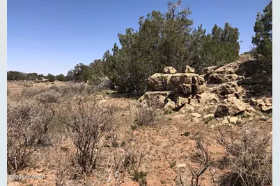 785 Twin Tanks Road, Heber, AZ 85928 - Photo 5