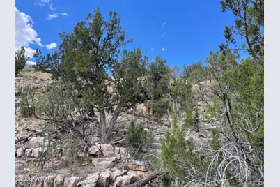785 Twin Tanks Road, Heber, AZ 85928 - Photo 9