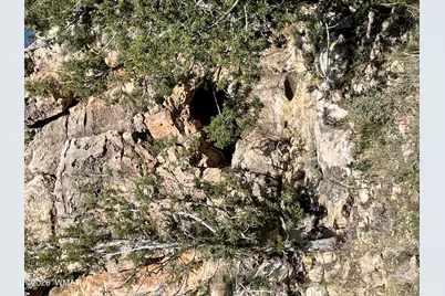 785 Twin Tanks Road, Heber, AZ 85928 - Photo 29
