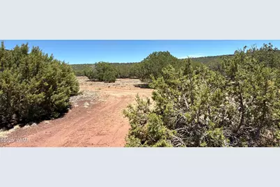 38 County Road 8283, Concho, AZ 85924 - Photo 9