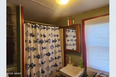 54 1st N Street, Alpine, AZ 85920 - Photo 13