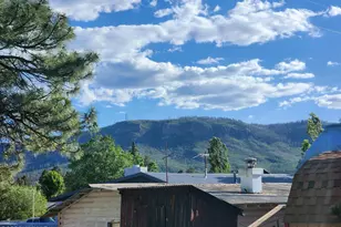 54 1st N St, Alpine, AZ 85920 - Photo 17