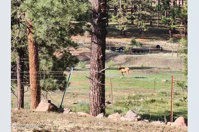 54 1st N Street, Alpine, AZ 85920 - Photo 19