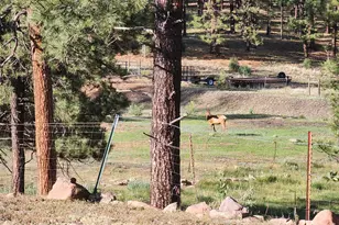 54 1st N St, Alpine, AZ 85920 - Photo 19