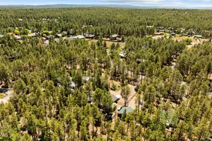 2155 S Woodland Ln, Pinetop, AZ 85935 - Photo 59