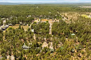 2155 S Woodland Ln, Pinetop, AZ 85935 - Photo 63