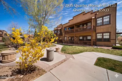 2395 Quarter Horse Trail, Overgaard, AZ 85933 - Photo 1