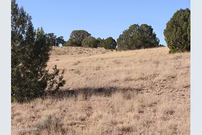 9 N9131, Concho, AZ 85924 - Photo 3