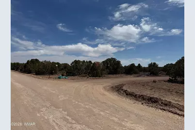 5 County Road 8077, Concho, AZ 85924 - Photo 7