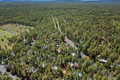 1919 E Sierra Pine Loop, Pinetop, AZ 85935 - Photo 29