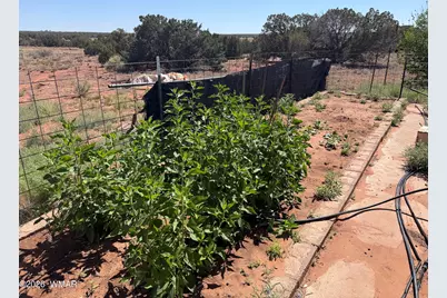 10 County Road 5463 Road, Concho, AZ 85924 - Photo 5