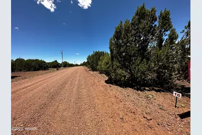 Lot 16 Acr 3028, Vernon, AZ 85940 - Photo 5