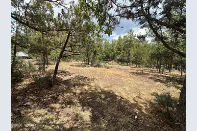 2670 Lockwood Drive, Lakeside, AZ 85929 - Photo 7