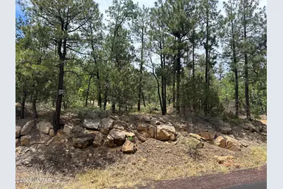 2670 Lockwood Drive, Lakeside, AZ 85929 - Photo 3