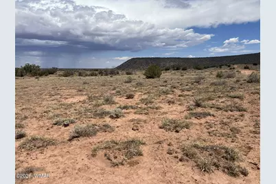 3926 Dia Estrella Road, Snowflake, AZ 85937 - Photo 5