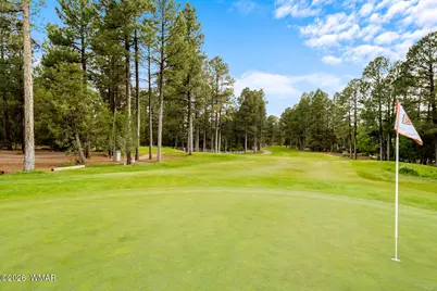 460 N Retreat Drive, Show Low, AZ 85901 - Photo 69