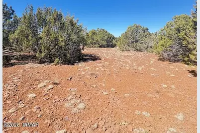 Tbd N3239, Vernon, AZ 85940 - Photo 19