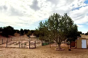 105 County Road N9328, Concho, AZ 85924 - Photo 51