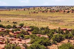 105 County Road N9328, Concho, AZ 85924 - Photo 55