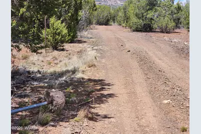Tbd Cr 3144, Vernon, AZ 85940 - Photo 3