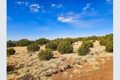 Lot 468 Show Low Pines Unit 3, Concho, AZ 85924 - Photo 7