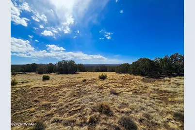 Lot 468 Show Low Pines Unit 3, Concho, AZ 85924 - Photo 3