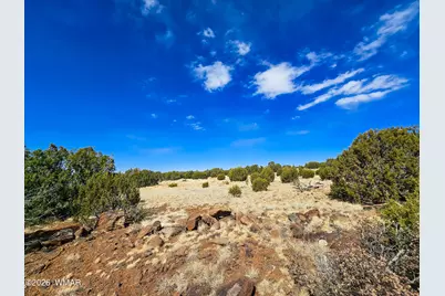 Lot 468 Show Low Pines Unit 3, Concho, AZ 85924 - Photo 5