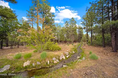 4401 W Shaggy Bark Road, Show Low, AZ 85901 - Photo 15