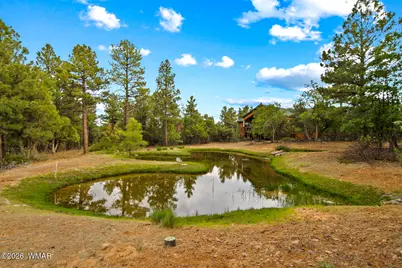4401 W Shaggy Bark Road, Show Low, AZ 85901 - Photo 1