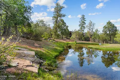 4401 W Shaggy Bark Road, Show Low, AZ 85901 - Photo 5