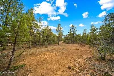 4401 W Shaggy Bark Road, Show Low, AZ 85901 - Photo 21
