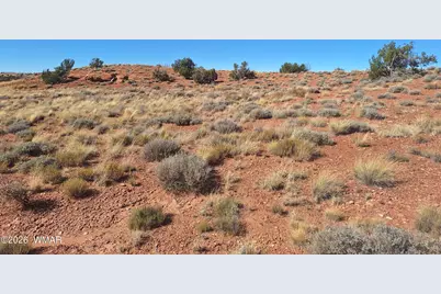 8028 Dawn Star Trail, Snowflake, AZ 85937 - Photo 11