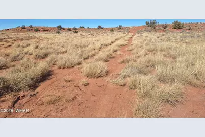 8028 Dawn Star Trail, Snowflake, AZ 85937 - Photo 5