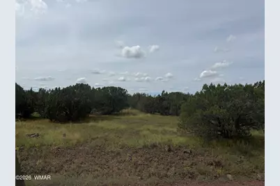 29 N3320, Vernon, AZ 85940 - Photo 5