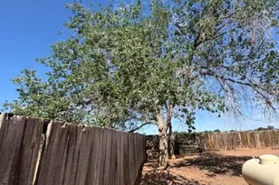 230 W 10th West St, Saint Johns, AZ 85936 - Photo 49
