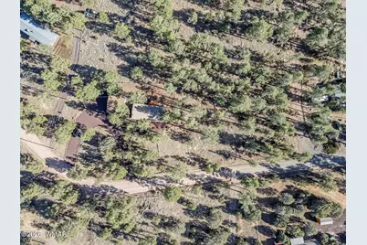 1033 Pine Ridge Drive, Show Low, AZ 85901 - Photo 29
