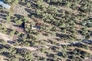 1033 Pine Ridge Dr, Show Low, AZ 85901 - Photo 29