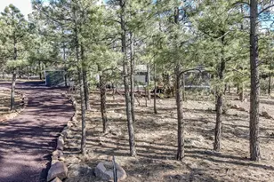 1033 Pine Ridge Dr, Show Low, AZ 85901 - Photo 5