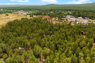 2086 Brown Bear Loop, Pinetop, AZ 85935 - Photo 55