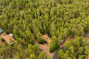 2086 Brown Bear Loop, Pinetop, AZ 85935 - Photo 53