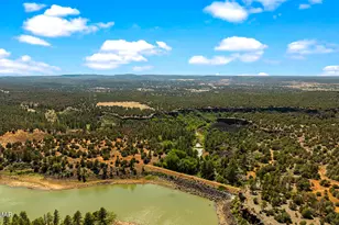 3750 W Pine Mesa Ranch Rd, Show Low, AZ 85901 - Photo 65
