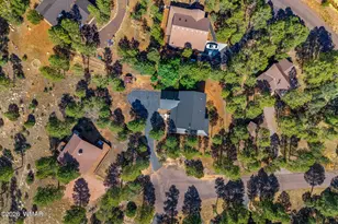 2789 Doolittle Cir, Overgaard, AZ 85933 - Photo 41
